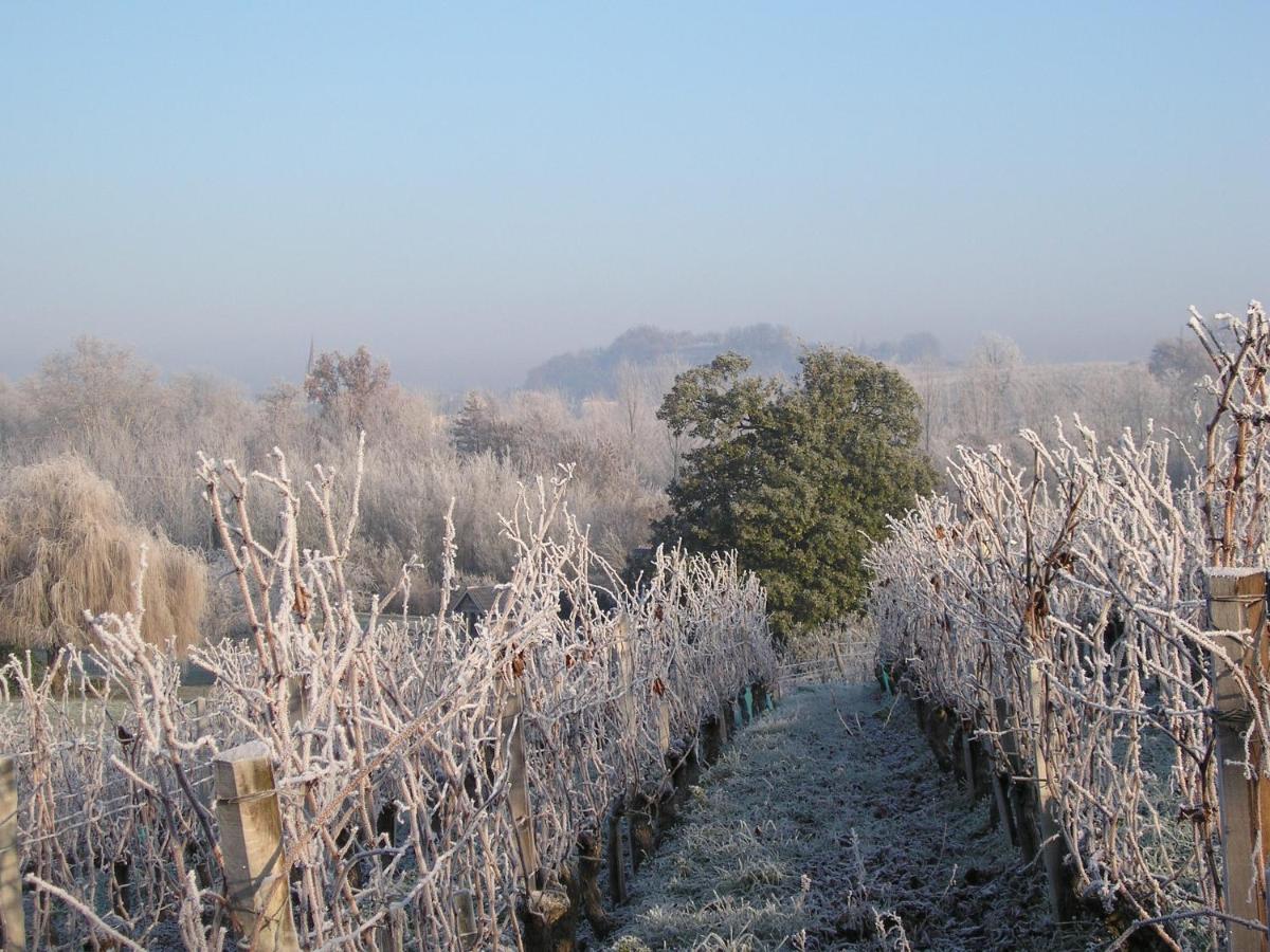 Bourg-sur-Gironde Suite Campagnarde Pres Bordeaux, Vue Sur Les Vignes Au Chateau Camponac المظهر الخارجي الصورة